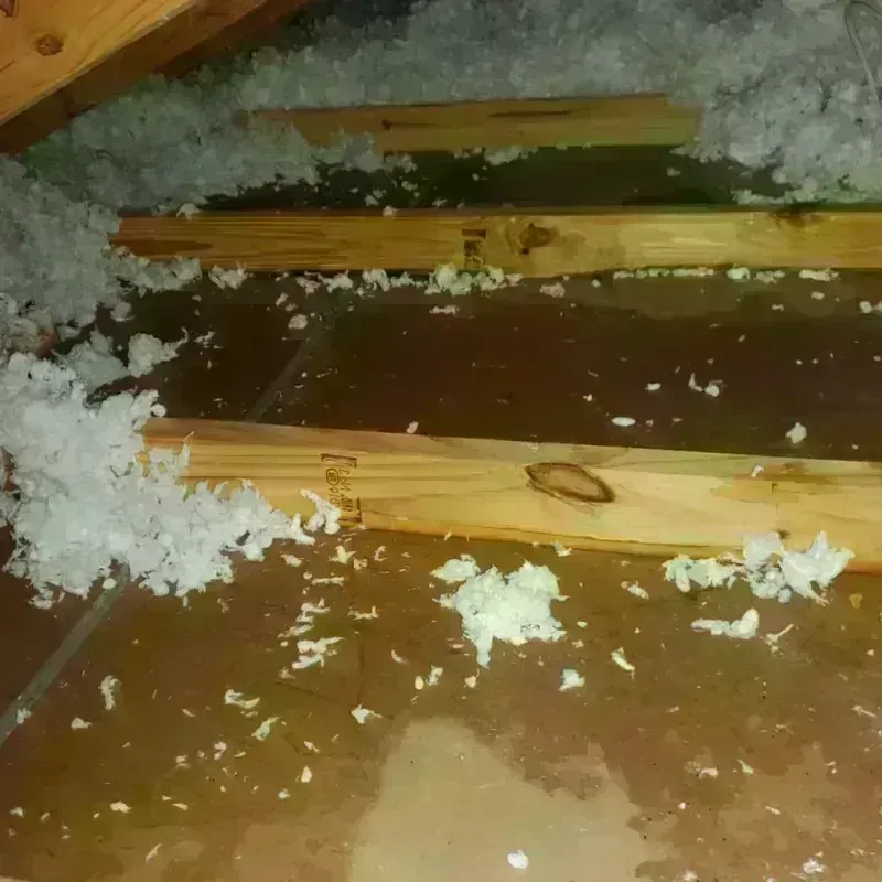 Attic Water Damage in Fulton County, KY